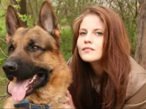Spokane Professional Dog training lessons success